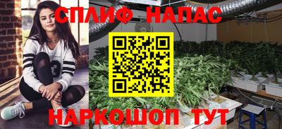 mdpv Янаул