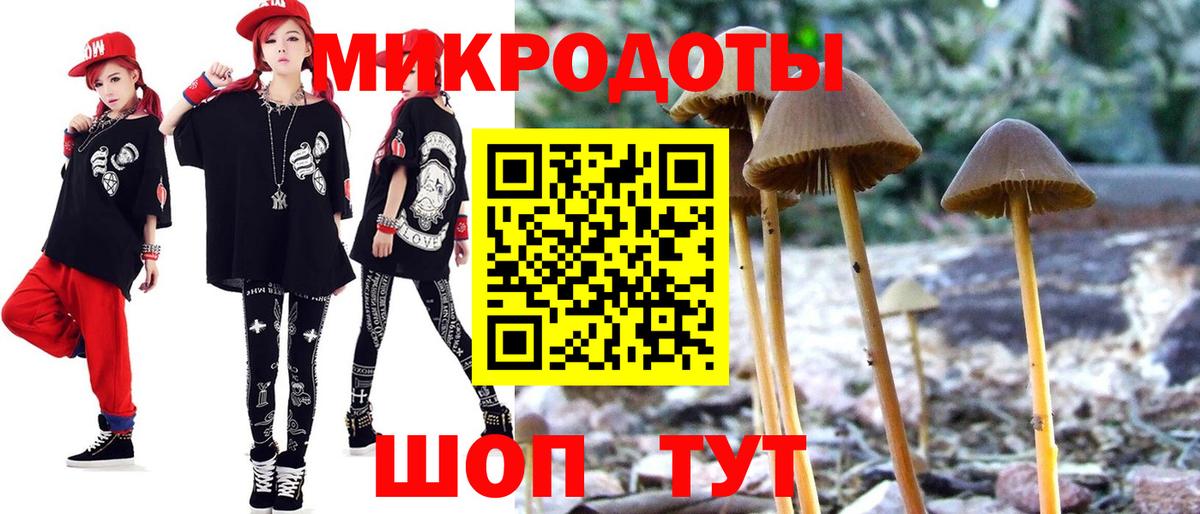 Псилоцибиновые грибы Psilocybe  Вход с VPN  Баксан 
