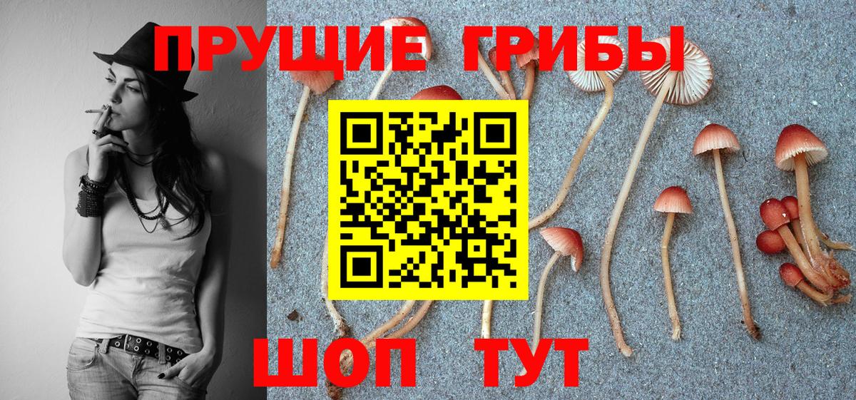 Галлюциногенные грибы мухоморы Баксан